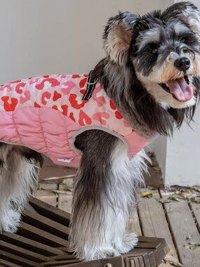 Cutebone Waterproof Thick Dog Winter Coat  Small Chest Size	21.3 Inches